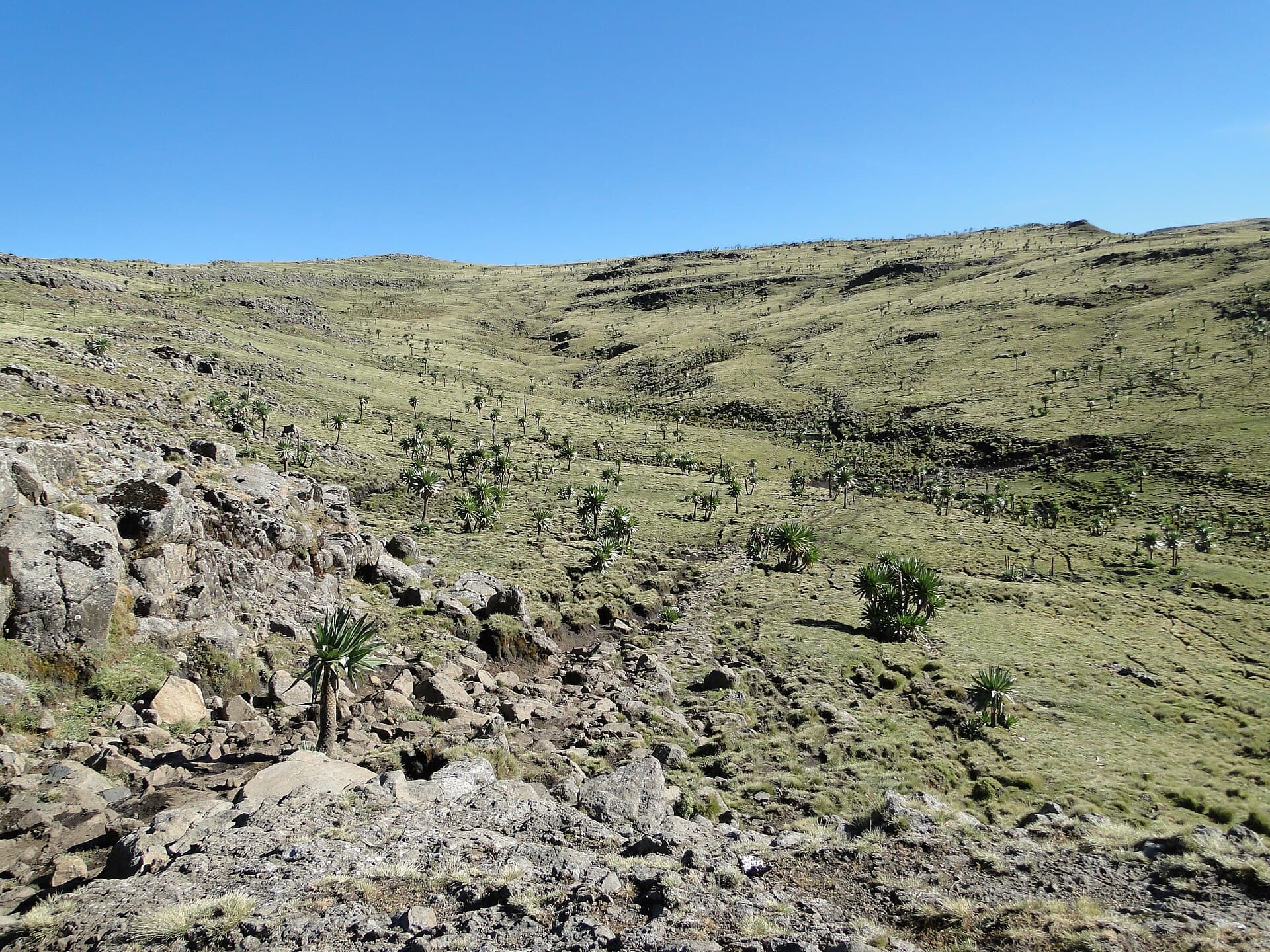 Day Trips to the Simien Mountains from Gondar
